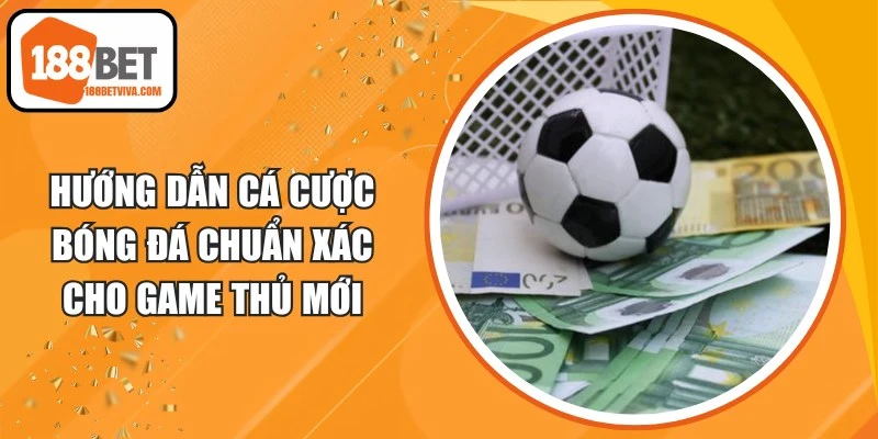 Hướng Dẫn Cá Cược Bóng Đá